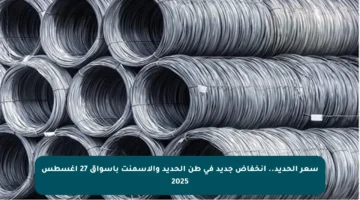 سعر الحديد.. انخفاض جديد في طن الحديد والأسمنت بأسواق 27 أغسطس 2025